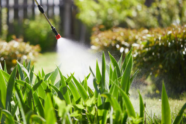 24/7 Emergency Mosquito Control experts in Tye, TX