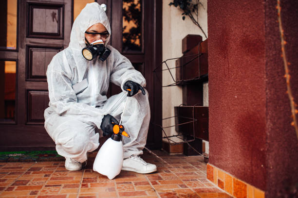 Reliable Mosquito Control contractor in Tye, TX by Nex Pest Control